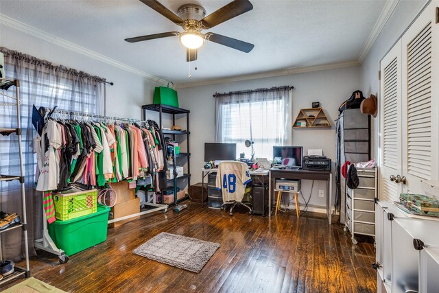 home office with dark hardwood / wood-style flooring, ceiling fan, and crown molding