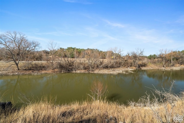 LOT8 Lake Point Rd, Comanche TX, 76442 land for sale