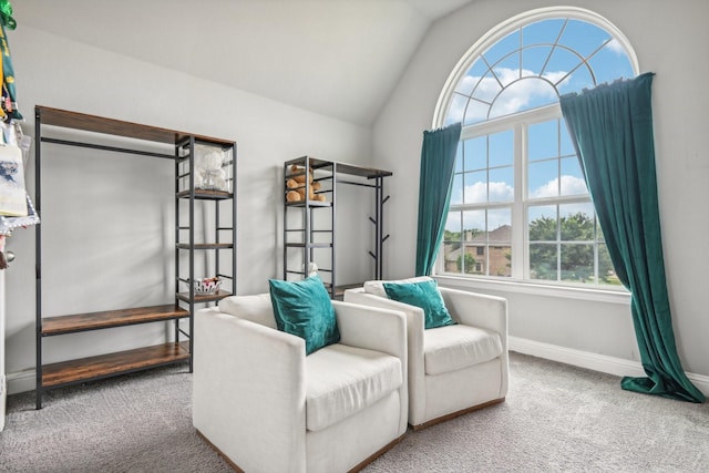 living area with carpet flooring and lofted ceiling