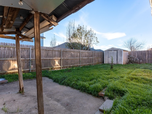 view of yard featuring a patio and a storage shed