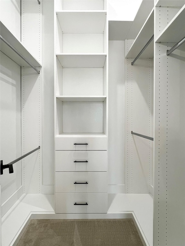 view of walk in closet