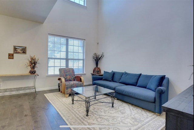 living room featuring wood-type flooring