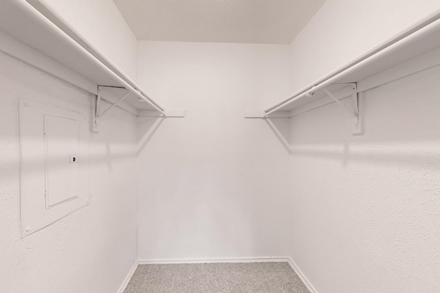 spacious closet featuring carpet floors and electric panel