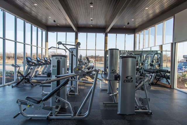 gym with a healthy amount of sunlight and wooden ceiling