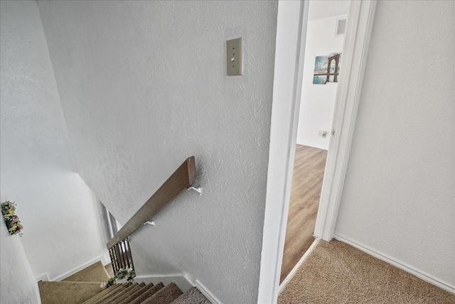 stairway with carpet floors