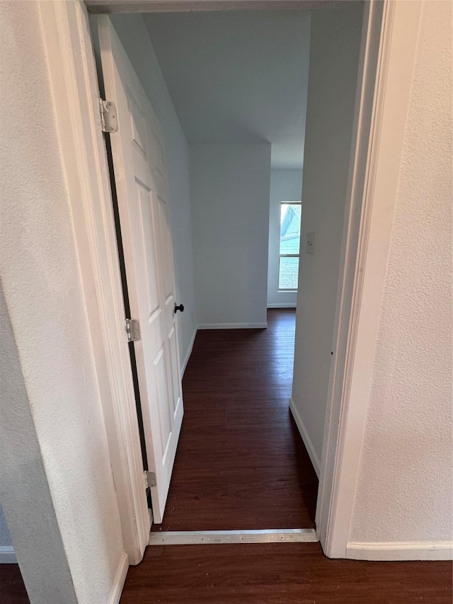 hall featuring dark wood-type flooring