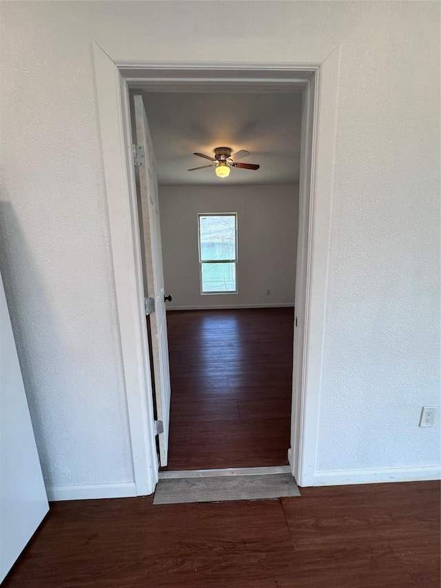 hall featuring dark wood-type flooring