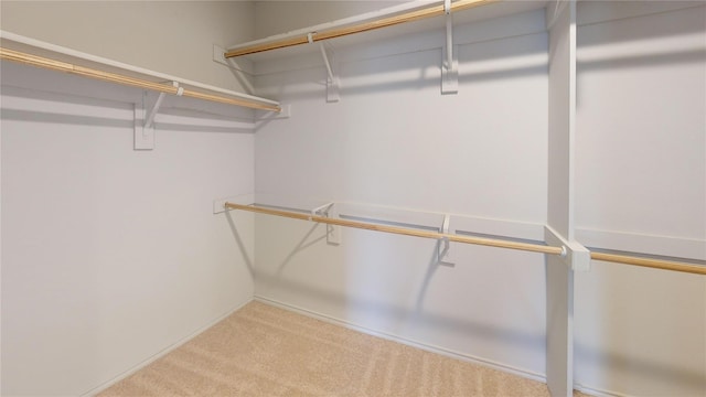 spacious closet with light colored carpet