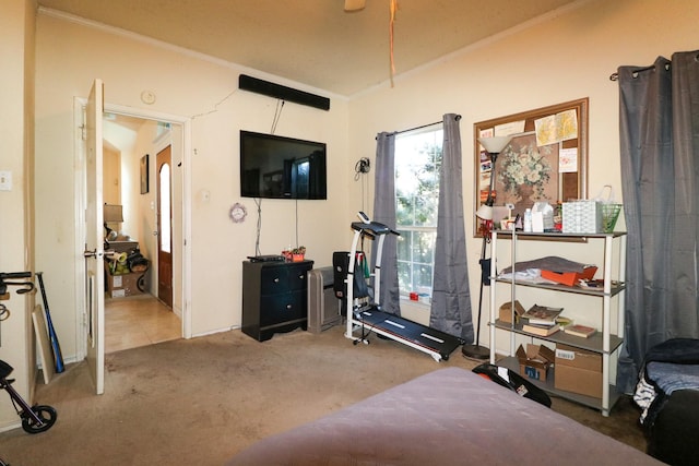 workout area featuring carpet floors and crown molding