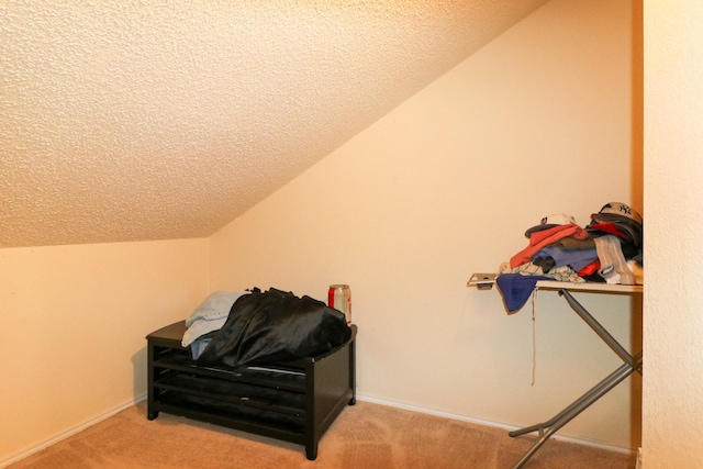 sitting room with light carpet, a textured ceiling, and lofted ceiling