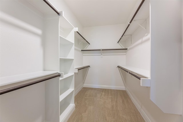 spacious closet featuring light carpet