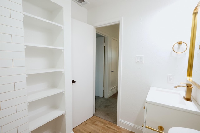 bathroom featuring hardwood / wood-style floors and vanity