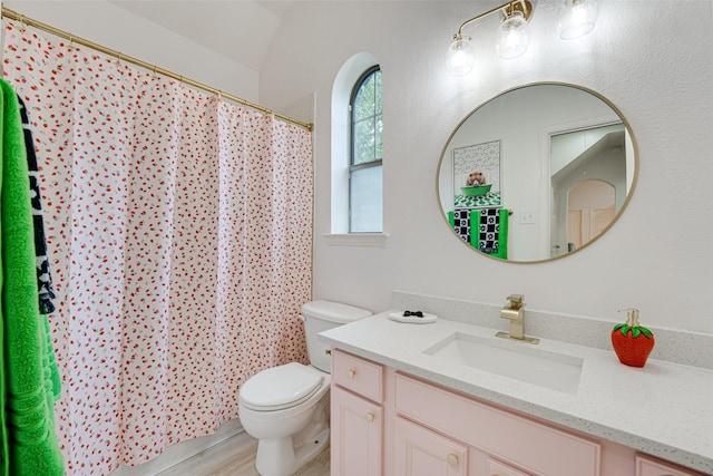 bathroom featuring vanity, hardwood / wood-style flooring, toilet, and walk in shower