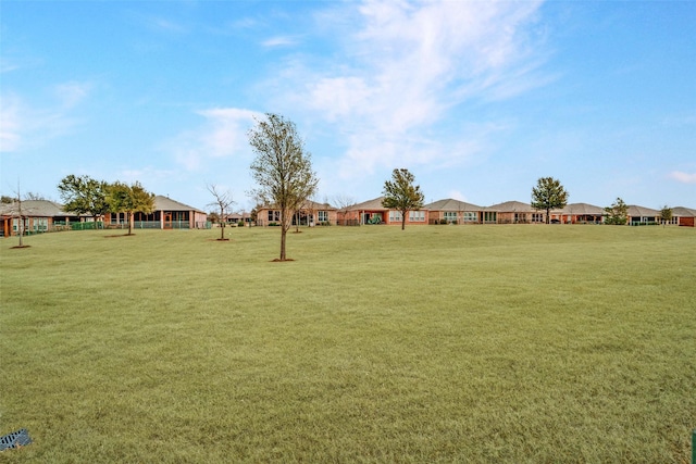 view of yard featuring a residential view