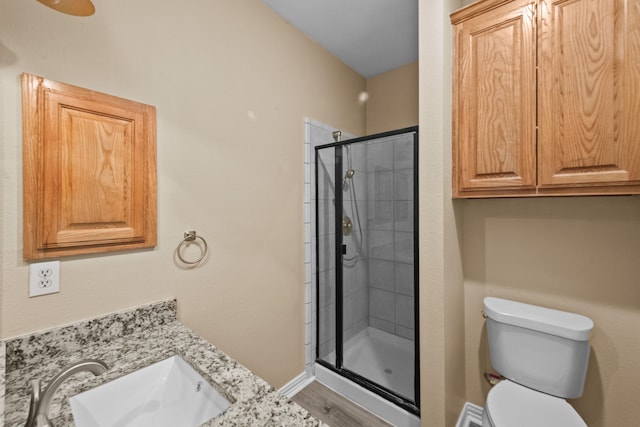 bathroom featuring an enclosed shower, vanity, and toilet