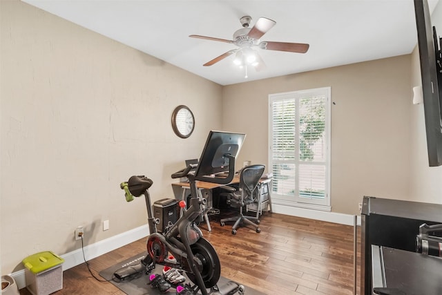 office space with ceiling fan, a healthy amount of sunlight, and hardwood / wood-style flooring