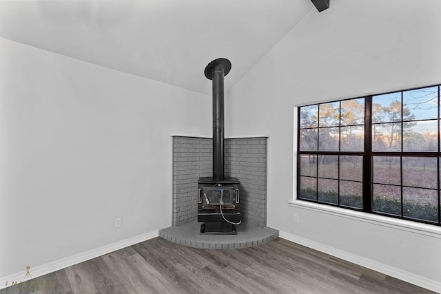 details featuring wood-type flooring and a wood stove