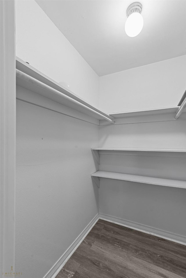 walk in closet featuring dark hardwood / wood-style floors