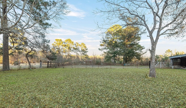 view of yard