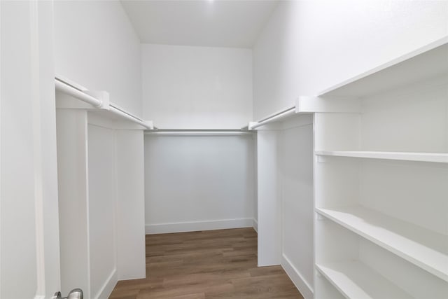 walk in closet with wood-type flooring