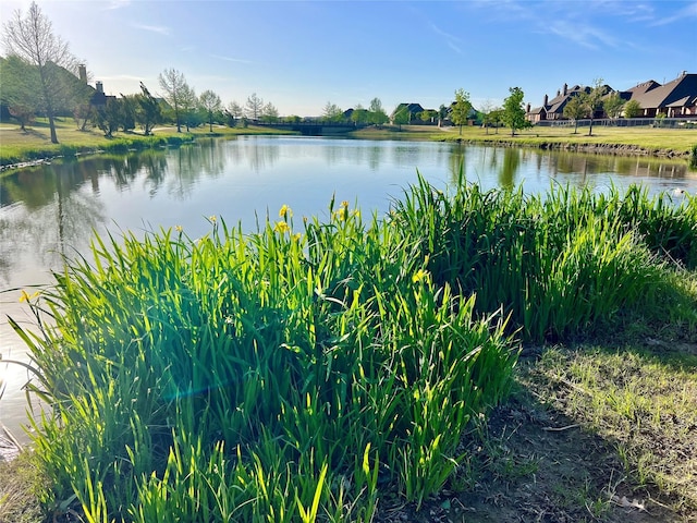 water view