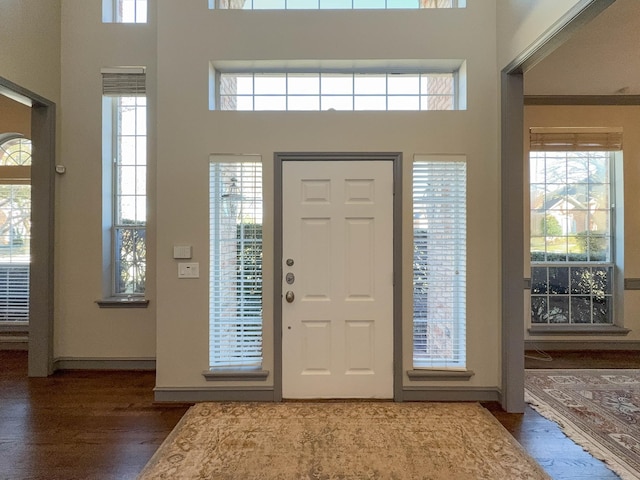 foyer with dark hardwood / wood-style flooring and a towering ceiling