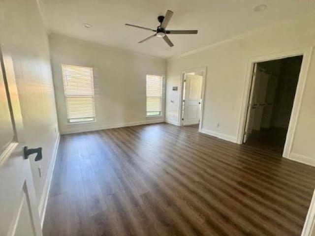 unfurnished bedroom with a spacious closet, crown molding, ceiling fan, and dark wood-type flooring