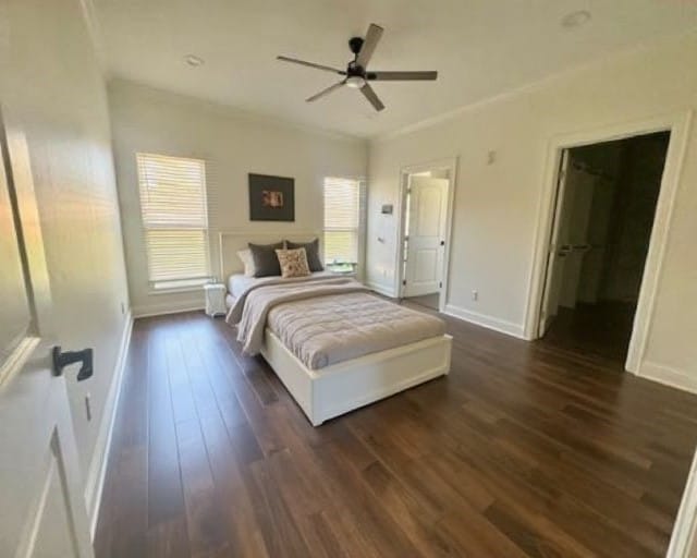 bedroom with ceiling fan, a walk in closet, crown molding, and dark wood-type flooring