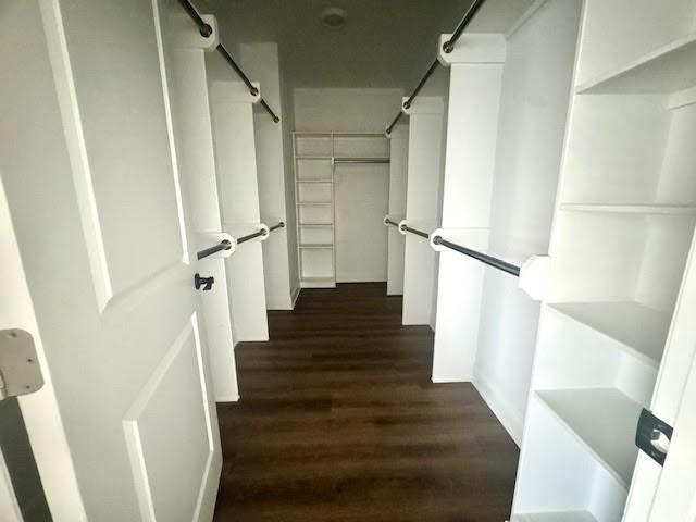 spacious closet featuring dark wood-type flooring