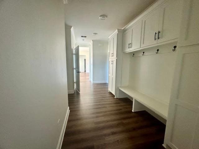 mudroom with dark wood-type flooring