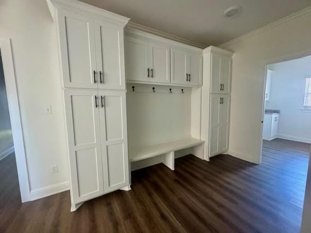 mudroom with ornamental molding and dark wood-type flooring