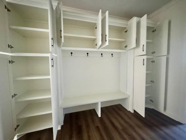 mudroom featuring crown molding and dark wood-type flooring