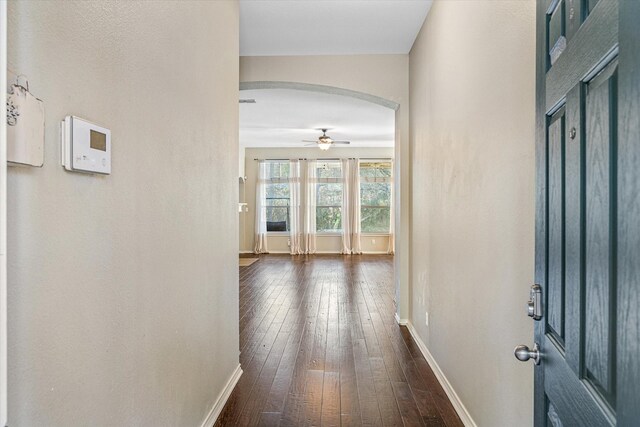 hallway with dark hardwood / wood-style flooring