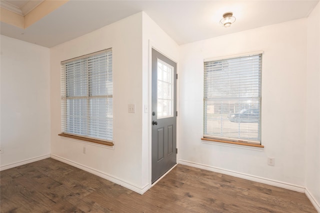 foyer featuring dark wood-type flooring