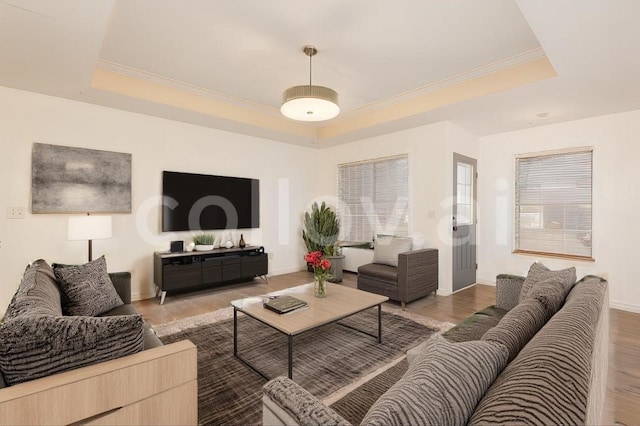 living room featuring ornamental molding, wood-type flooring, and a tray ceiling