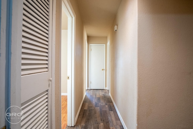 hallway featuring dark hardwood / wood-style flooring