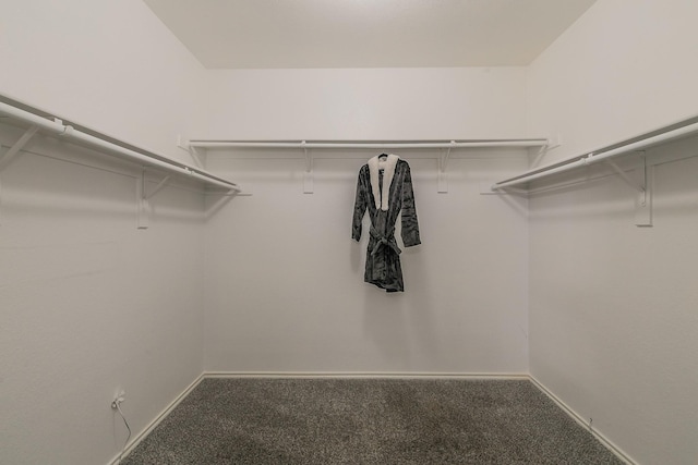 walk in closet with carpet