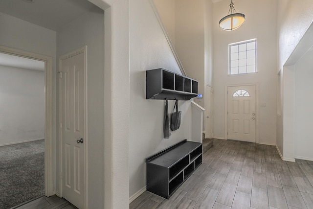 entrance foyer featuring a high ceiling