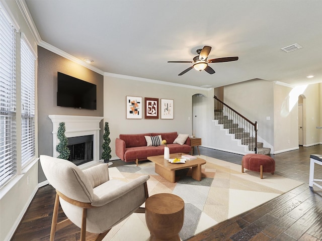 living room featuring ceiling fan, hardwood / wood-style floors, and ornamental molding