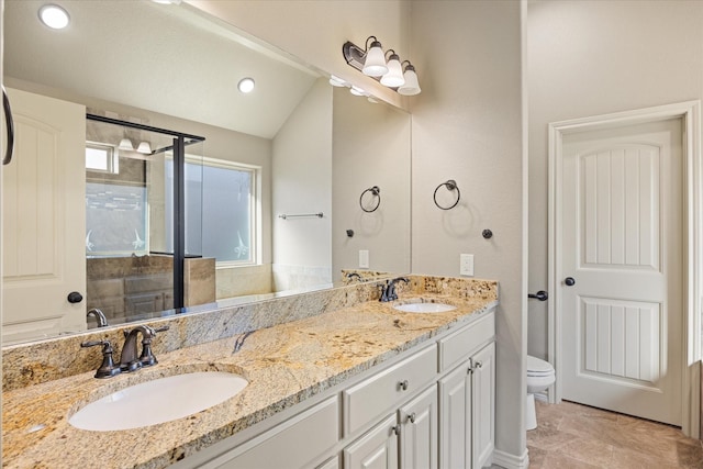 bathroom featuring lofted ceiling, vanity, a wealth of natural light, and a shower with shower door