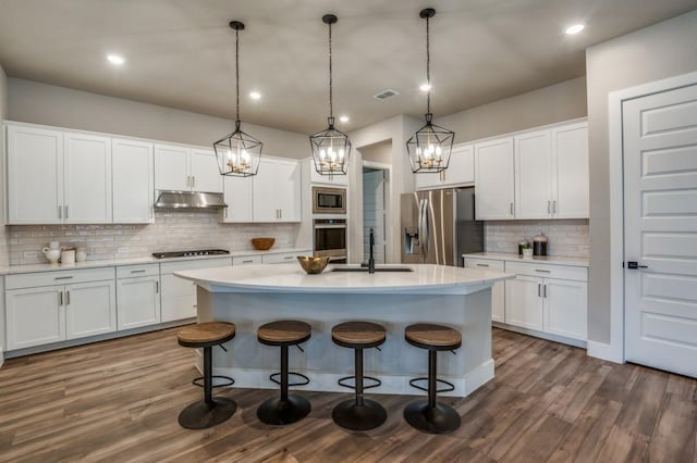 kitchen with stainless steel appliances, a sink, dark wood finished floors, and under cabinet range hood