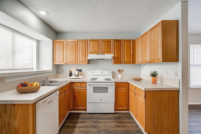 kitchen with a textured ceiling, sink, dark wood-type flooring, and white appliances