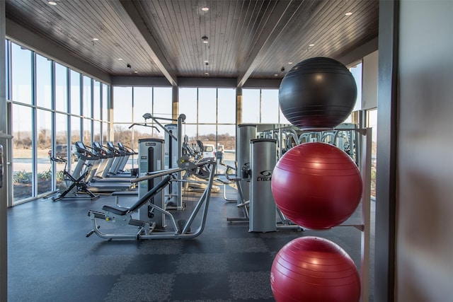 workout area featuring a wealth of natural light, wooden ceiling, and a wall of windows