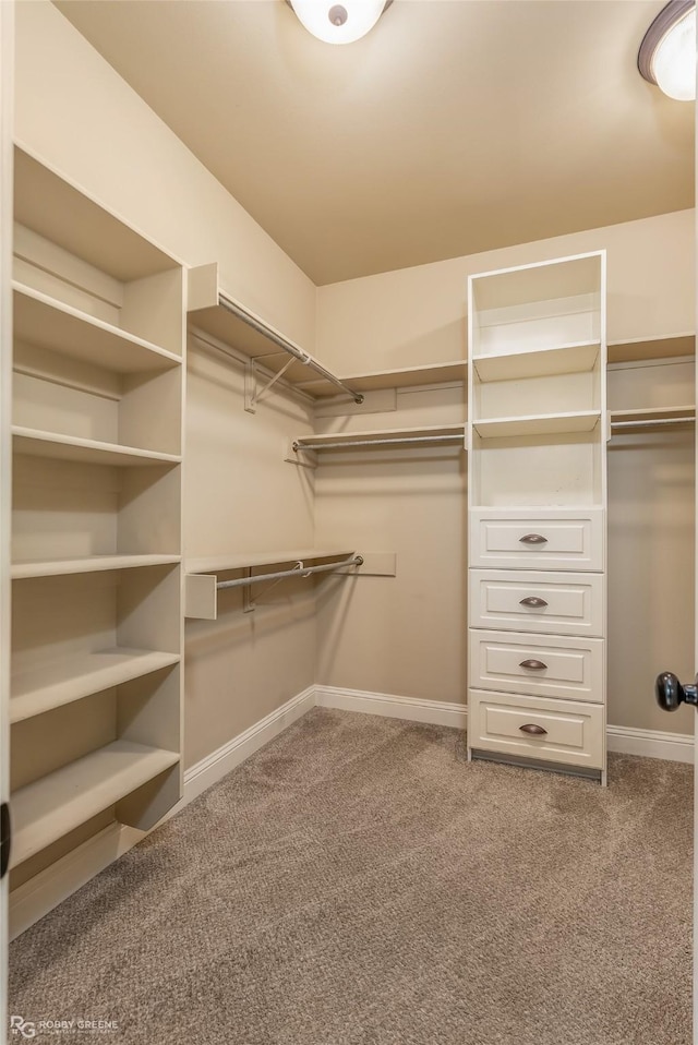 spacious closet featuring carpet flooring