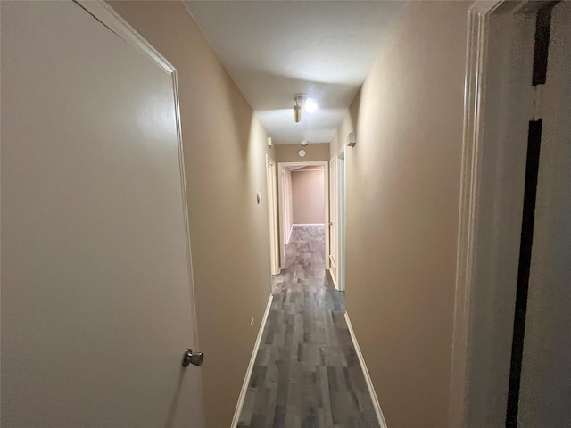 corridor featuring dark wood-type flooring