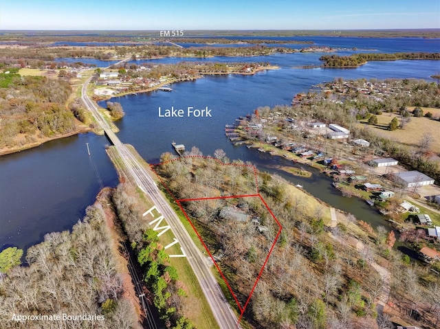 aerial view with a water view