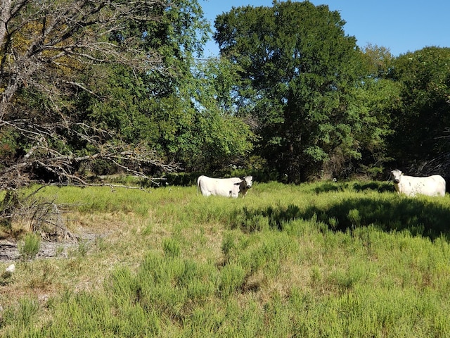 view of nature