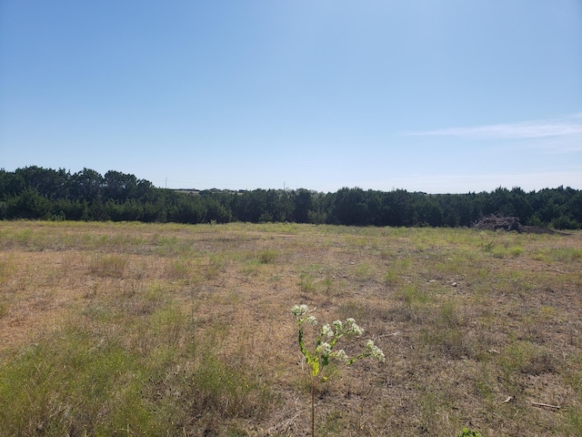 view of nature featuring a rural view