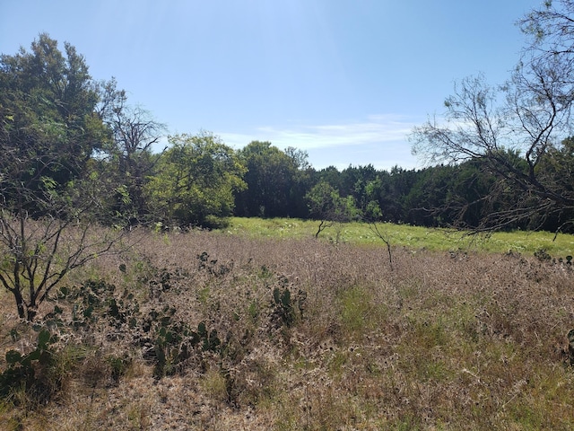 view of local wilderness with a rural view