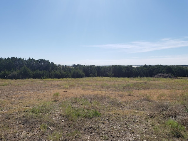 view of landscape featuring a rural view